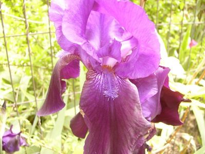P1380406