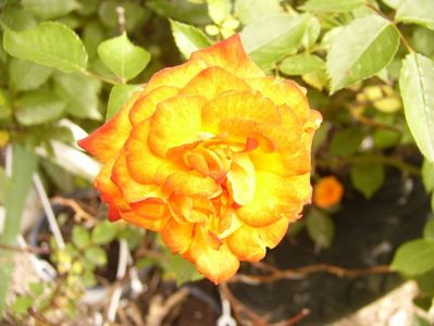 P1380423