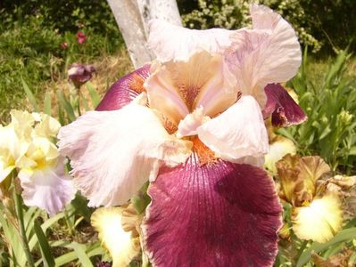 P1380430