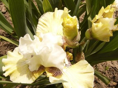 P1380442