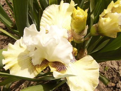 P1380444
