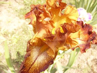 P1380462
