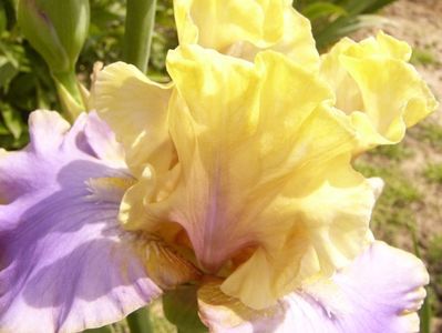 P1380473