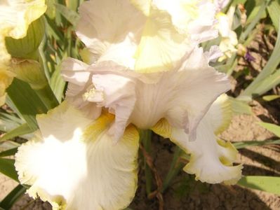 P1380480