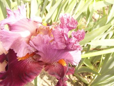 P1380487