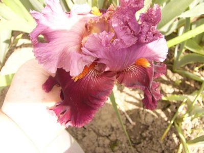 P1380488