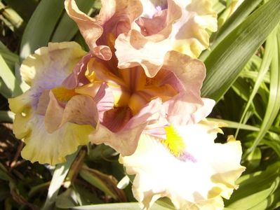 P1380505