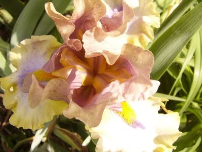 P1380507