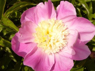 P1380510