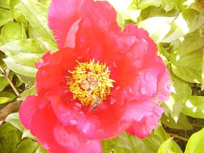 P1380512