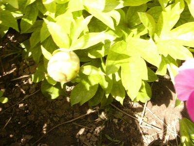 P1380515