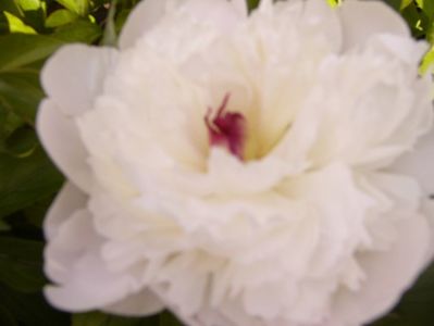 P1380529