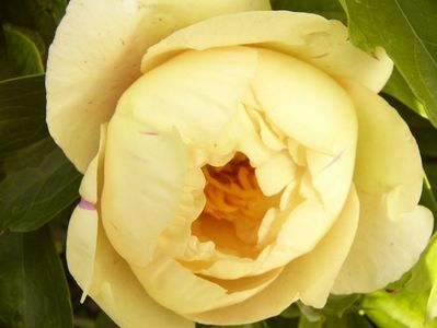 P1380542