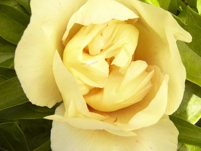P1380543