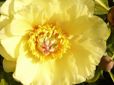 P1380559