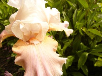 P1380570