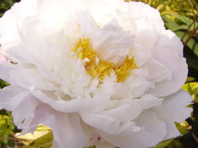 P1380590