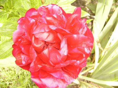 P1380603