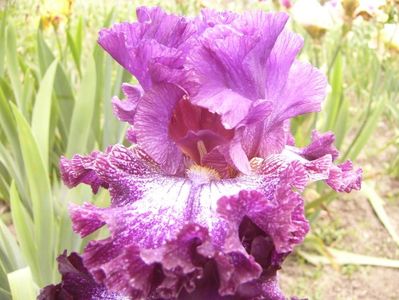 P1380612