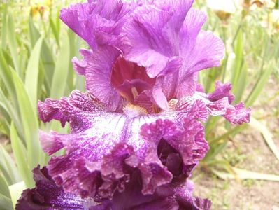 P1380613