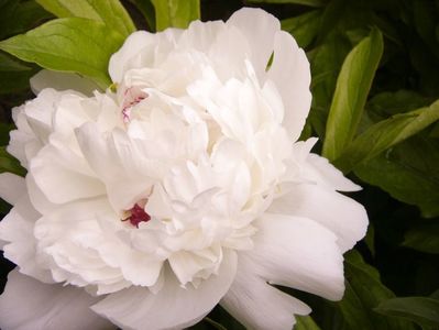 P1380625
