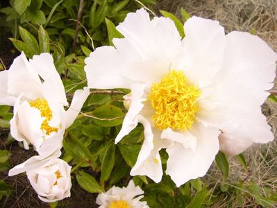 P1380671