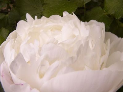 P1380673