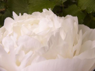P1380674