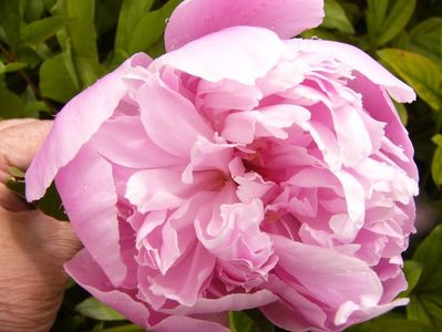 P1380685