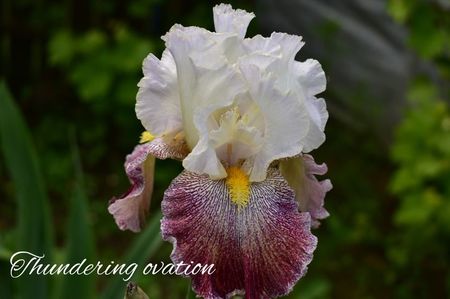 AddText_06-04-05.01.12