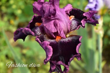 AddText_06-04-04.46.41