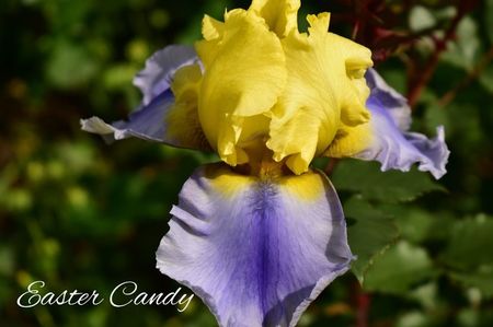 AddText_06-04-04.43.29