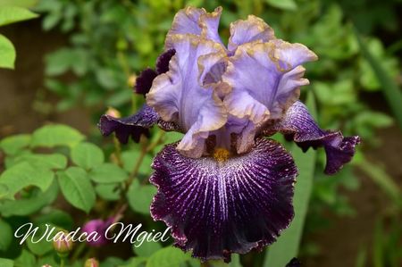 AddText_06-05-02.34.38