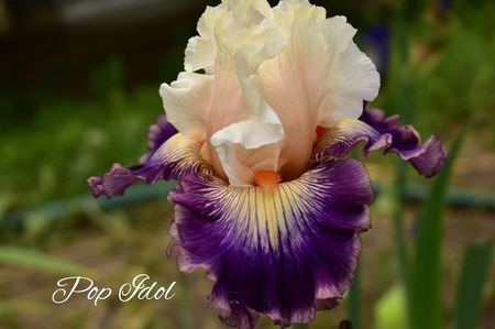 AddText_06-05-02.30.55