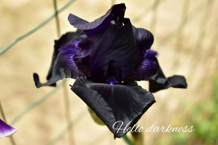 AddText_06-05-02.29.34