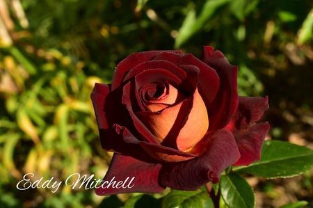 AddText_06-11-02.32.20