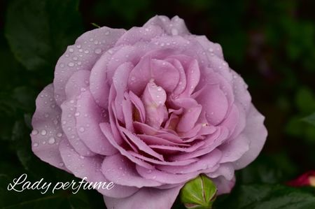 AddText_06-13-11.44.35