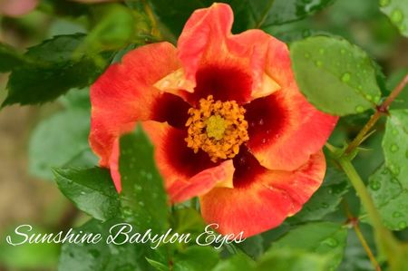 AddText_06-13-11.40.52