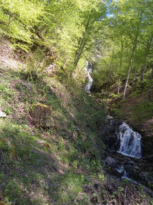 ; Cascada Săritoarea.
