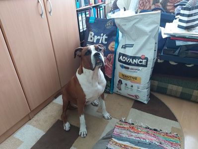 Mai bine pazesc ambii saci !