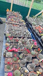 IMG-20210615-WA0026