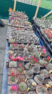 IMG-20210615-WA0015