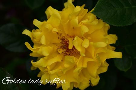 AddText_06-18-02.42.27