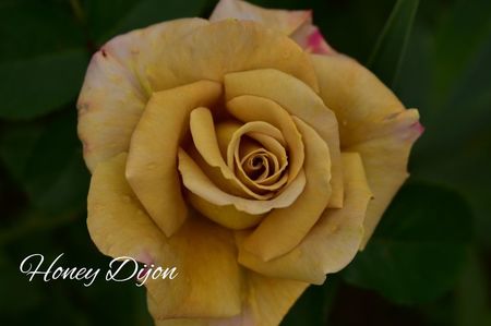 AddText_06-18-02.39.27