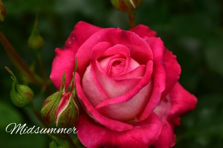 AddText_06-18-02.36.56