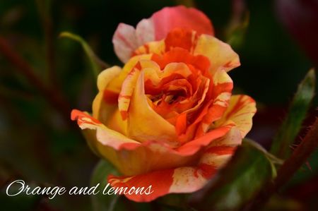 AddText_06-18-02.35.59