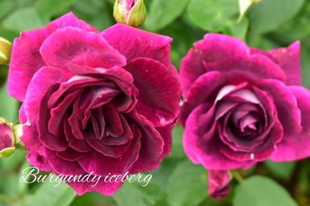 AddText_06-18-02.35.08