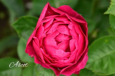 AddText_06-18-02.32.10