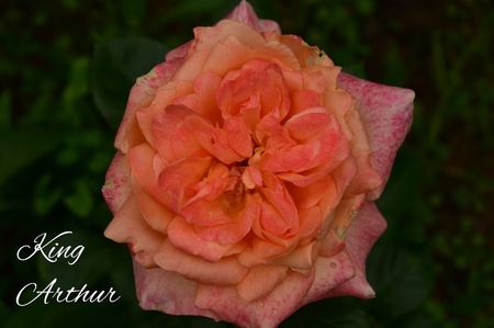 AddText_06-18-02.27.24