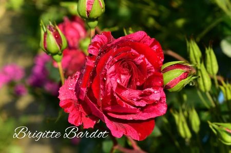 AddText_06-23-02.53.48